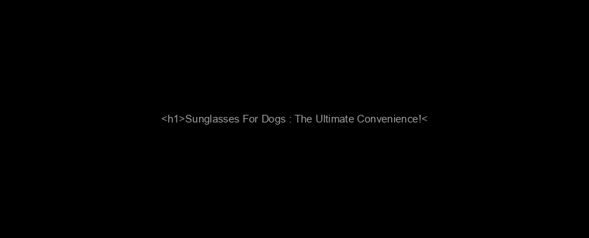 <h1>Sunglasses For Dogs : The Ultimate Convenience!</h1>